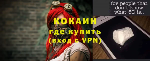 винт Алзамай